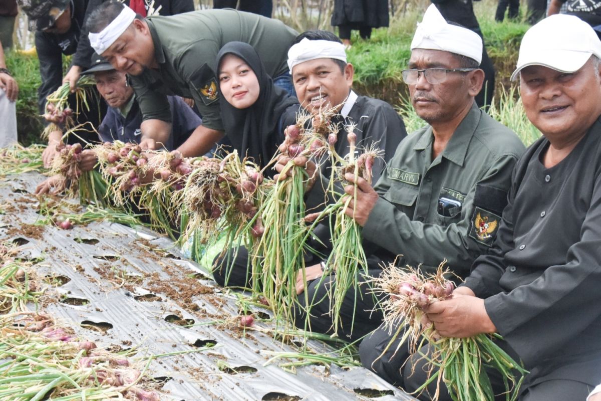 Wakil Ketua Komisi IV DPR panen bawang merah bersama petani milenial