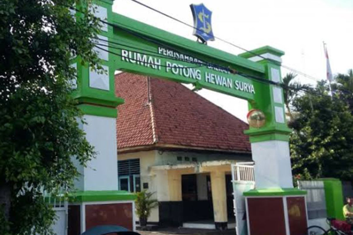 RPH Kedurus Surabaya dialihfungsikan jadi Rumah Potong Unggas