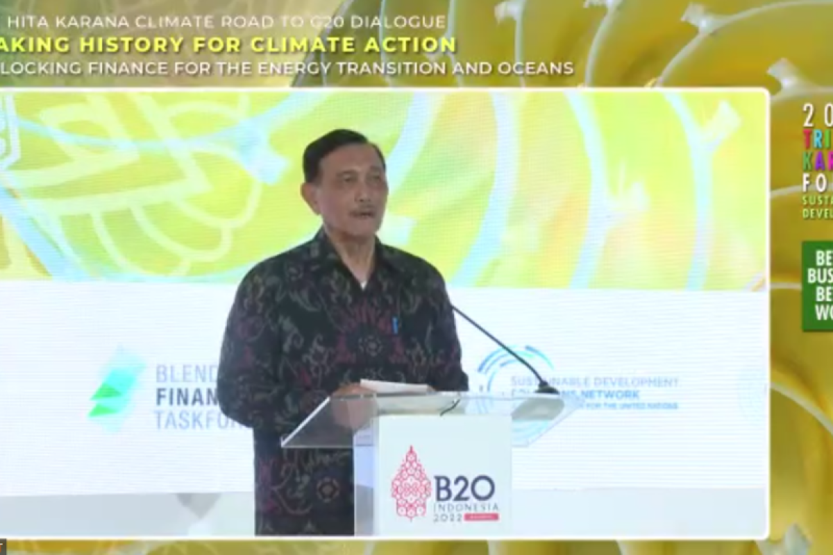 Luhut Pandjaitan minta dukungan global RI bisa pimpin transisi energi