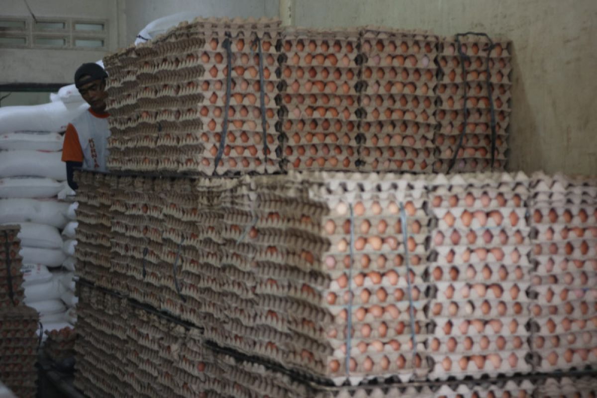 Harga telur ayam ras turun di Banda Aceh