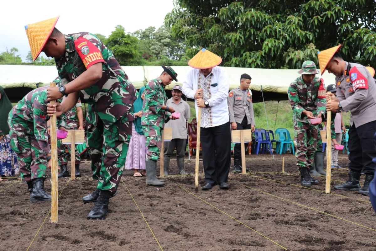 Jaga ketahanan pangan, ini yang dilakukan Kodim Aceh Tengah