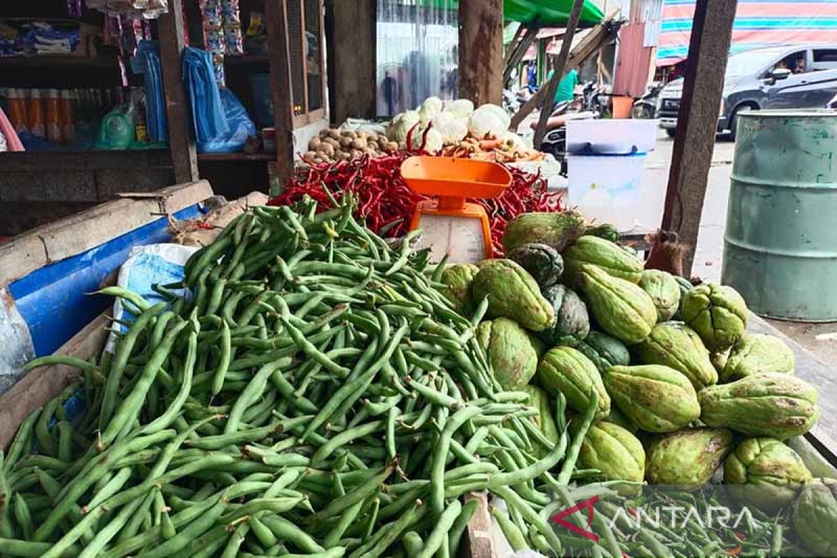 Harga cabai di Pulau Simeulue melambung