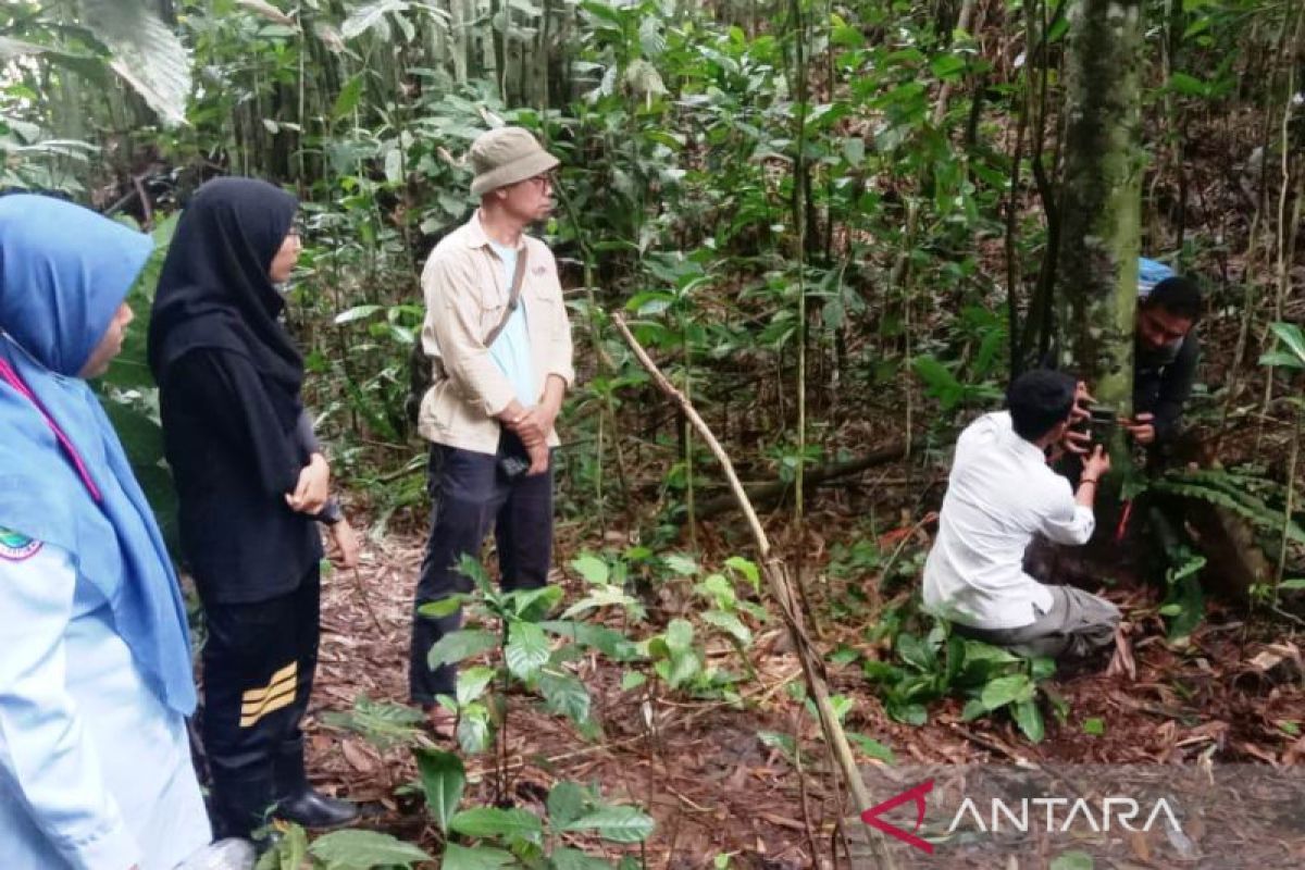 Pastikan jenis hewan serang ternak warga Agam, BKSDA Sumbar pasang kamera jebak