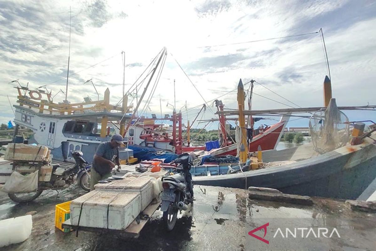 Cuaca buruk, tangkapan nelayan di Aceh Timur menurun