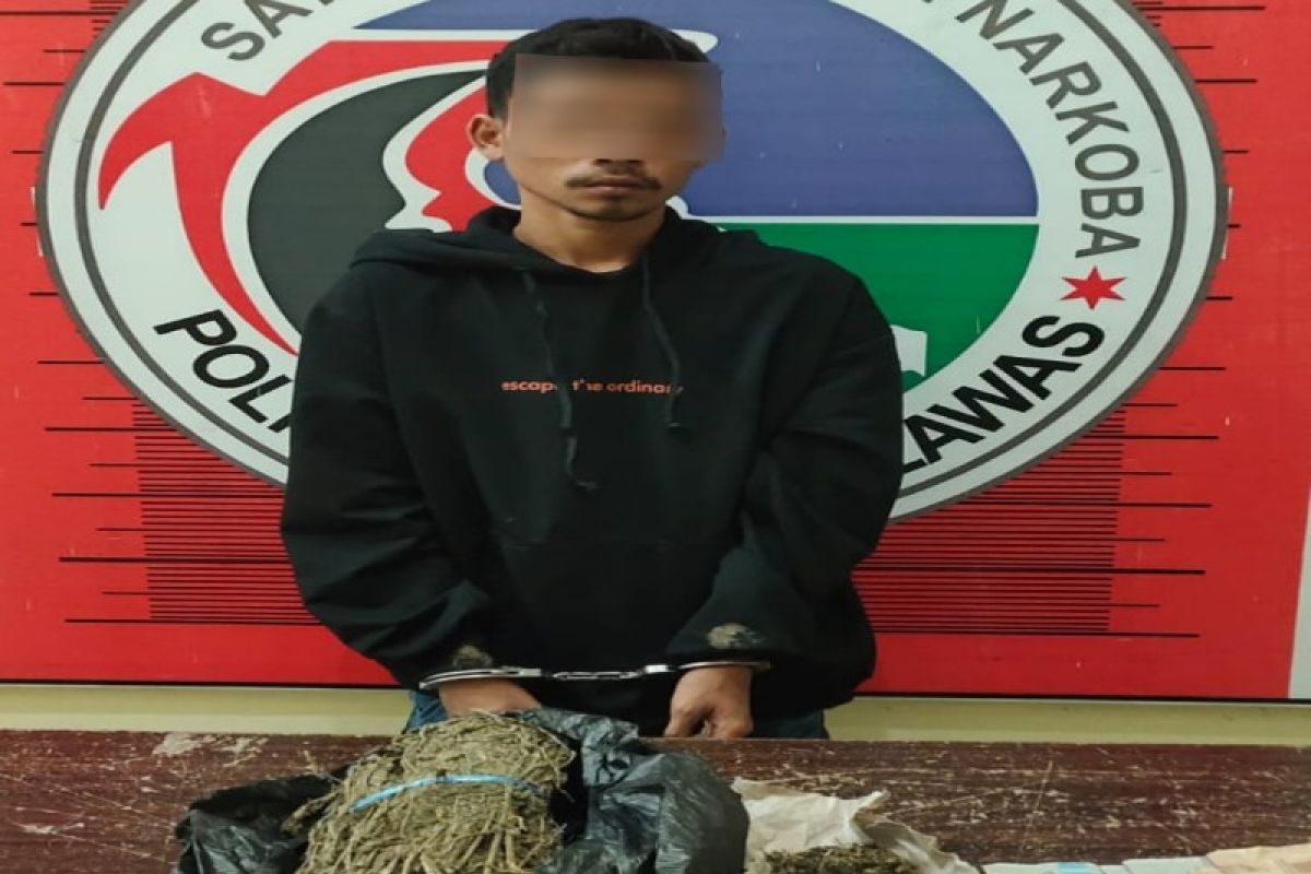 Nyambi jual ganja, petani ini ditangkap tim Satres Narkoba Polres Palas