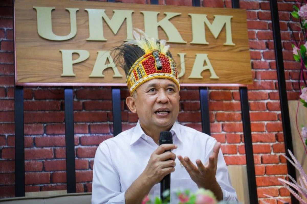 Teten Masduki anggap kemasan produk UMKM Papua tak kalah dibanding Pulau Jawa