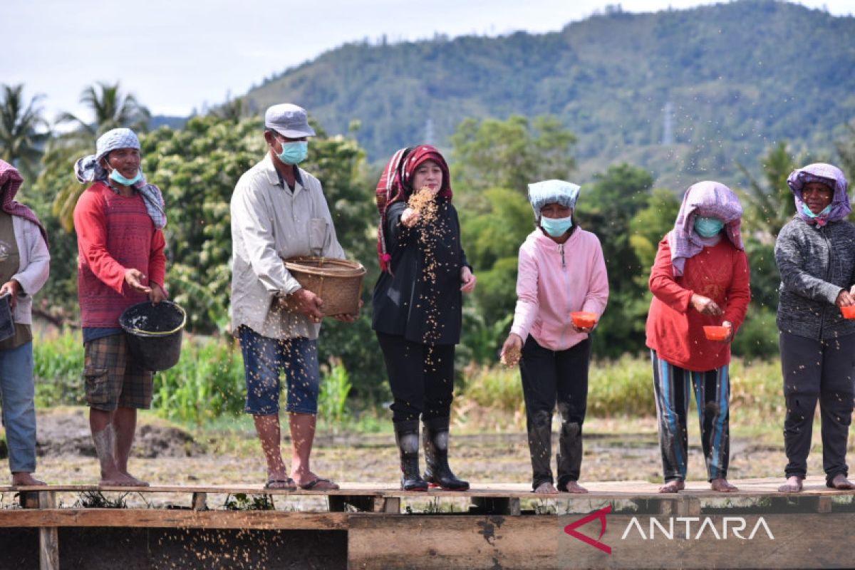 Ketua DPR canangkan program Dua Kali Tanam Dua Kali Panen di Toba