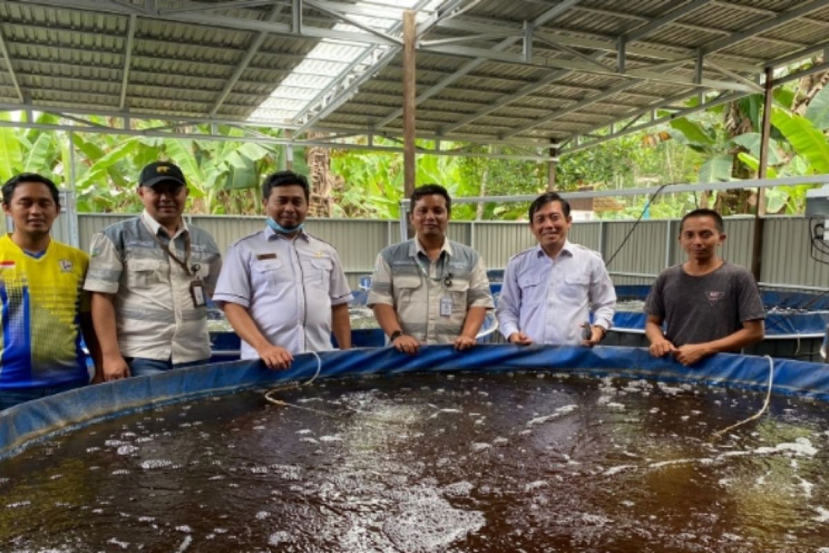 Balangan Coal Group bantu pengembangan bioflok Desa Murung Ilung
