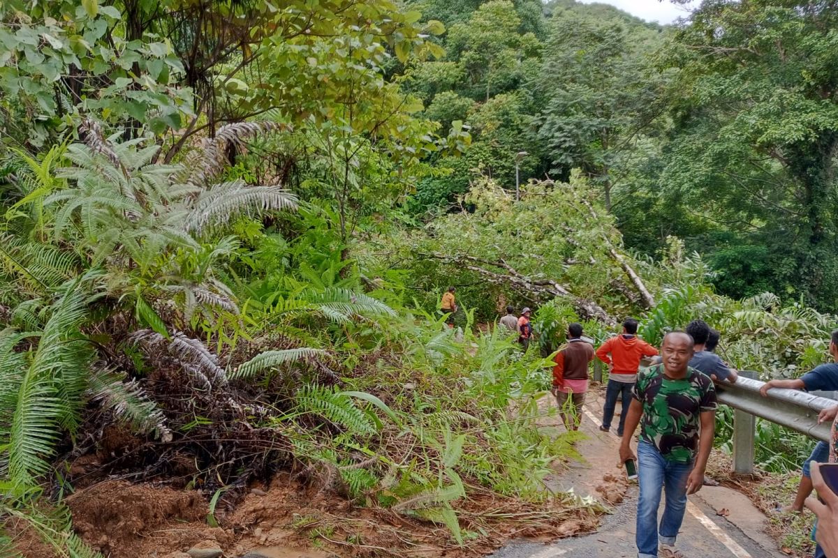 Pohon tumbang dan longsor terjadi di Padang akibat cuaca buruk