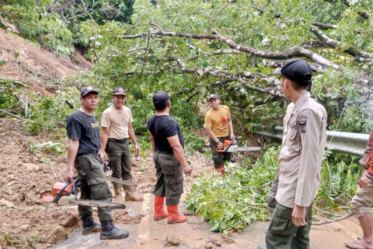 BPBD: Lokasi longsor di Sungai Pisang Padang capai 10 titik