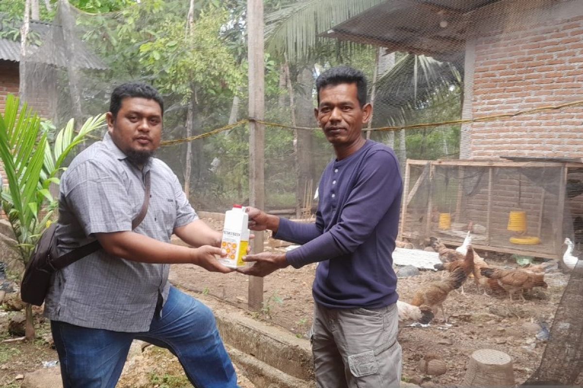 Pemkab Tapsel pantau kematian ternak ayam secara tiba-tiba