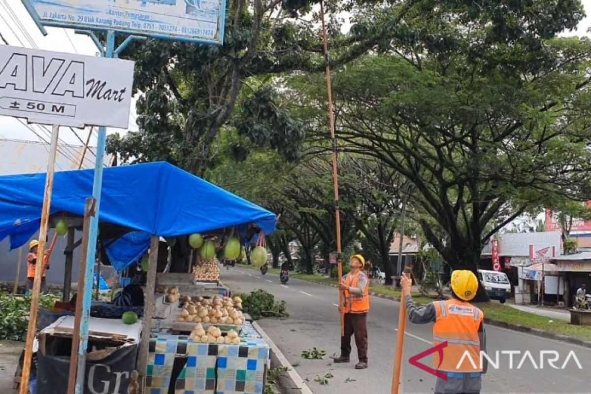 PLN gelar aksi pembersihan jalur distribusi ROW secara serentak, guna tingkatkan keandalan pasokan