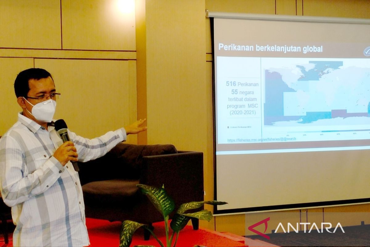 MSC: Progres sertifikasi kakap dan kerapu laut perkembangannya sudah bagus