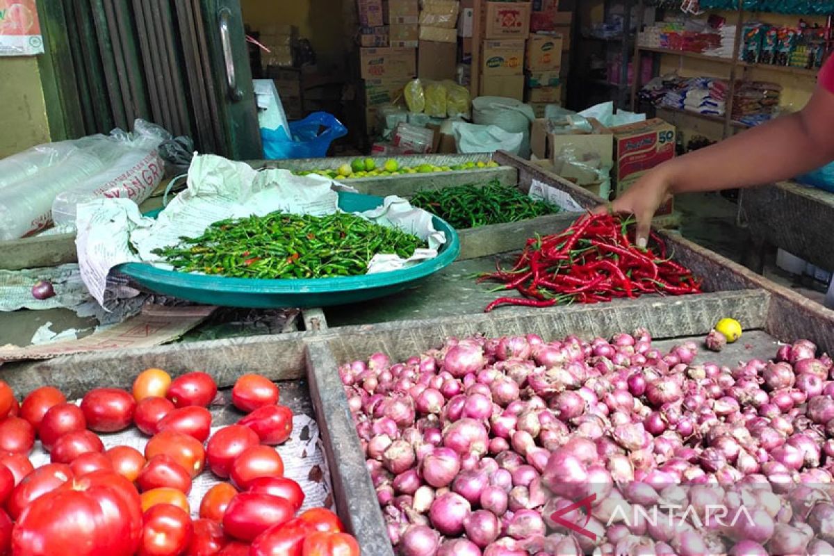 Harga cabai merah di Aceh Timur Rp100 ribu per kilogram