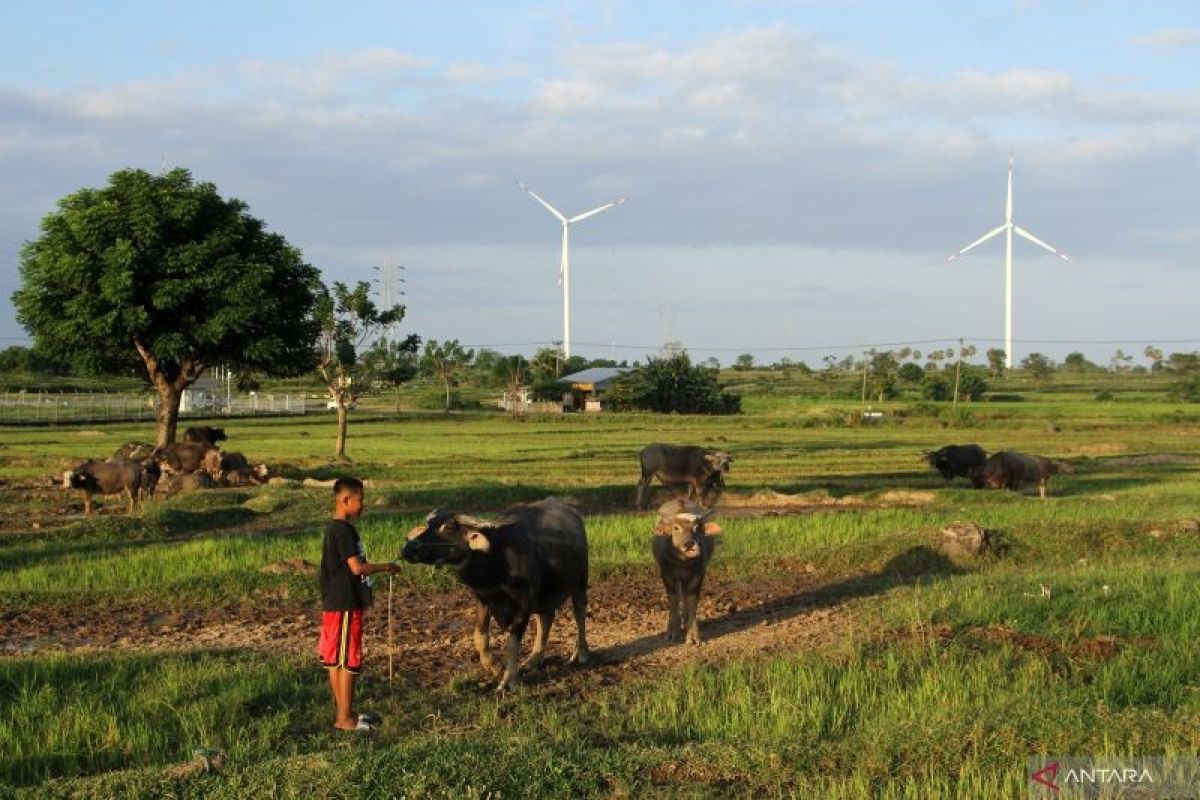 Dewan Energi Mahasiswa Indonesia minta subsidi BBM dialihkan bagi energi baru terbarukan