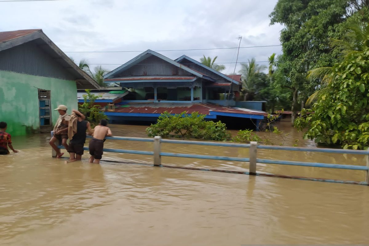 Banjir rendam delapan kabupaten di Bengkulu