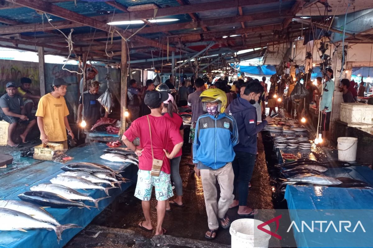 Harga komoditas laut di Manokwari masih stabil setelah BBM naik