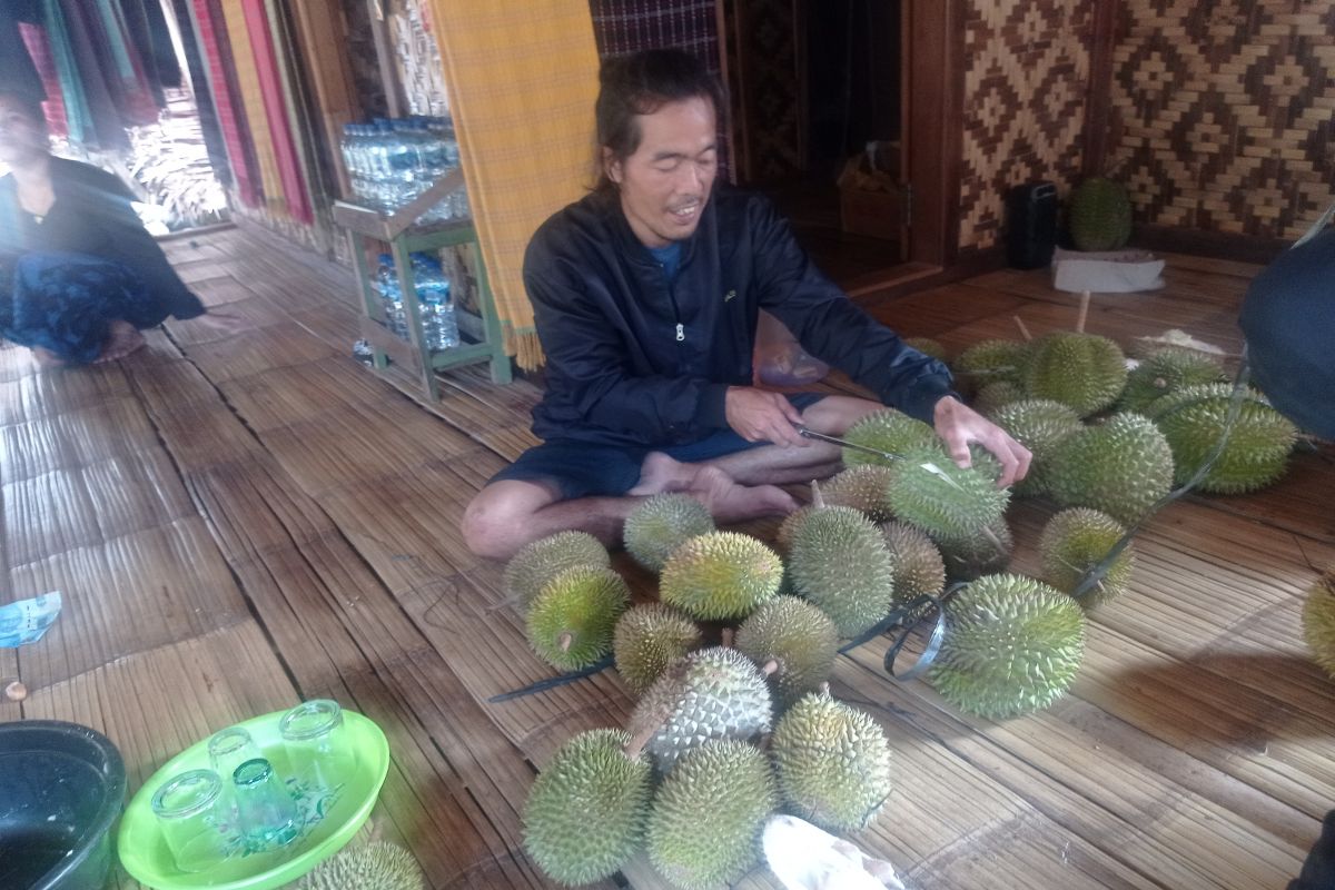 Durian jadi andalan ekonomi masyarakat Badui di Lebak