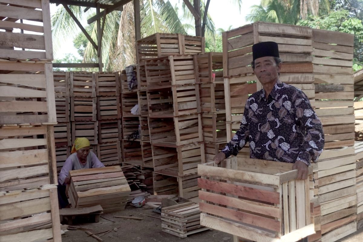 Perjuangan  M Jinis merintis usaha peti buah kini berbuah manis