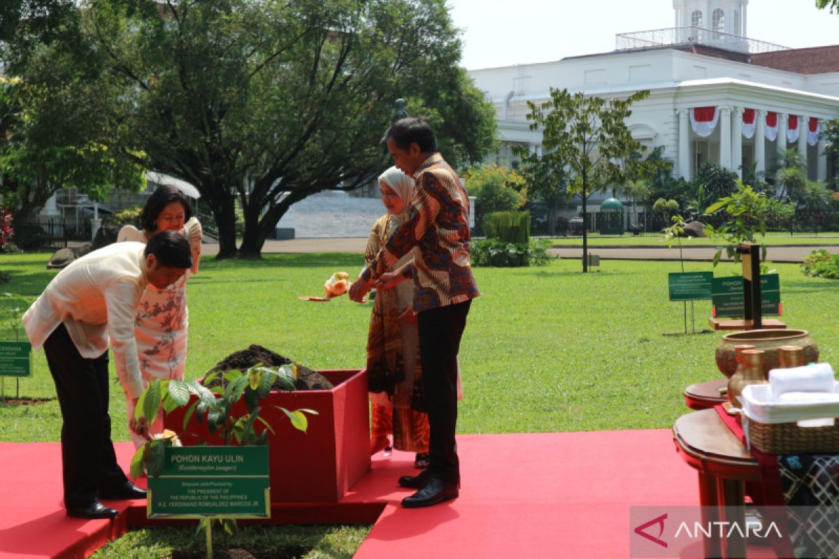 Jokowi dan Ferdinand Marcos Jr tanam pohon di Instana Bogor