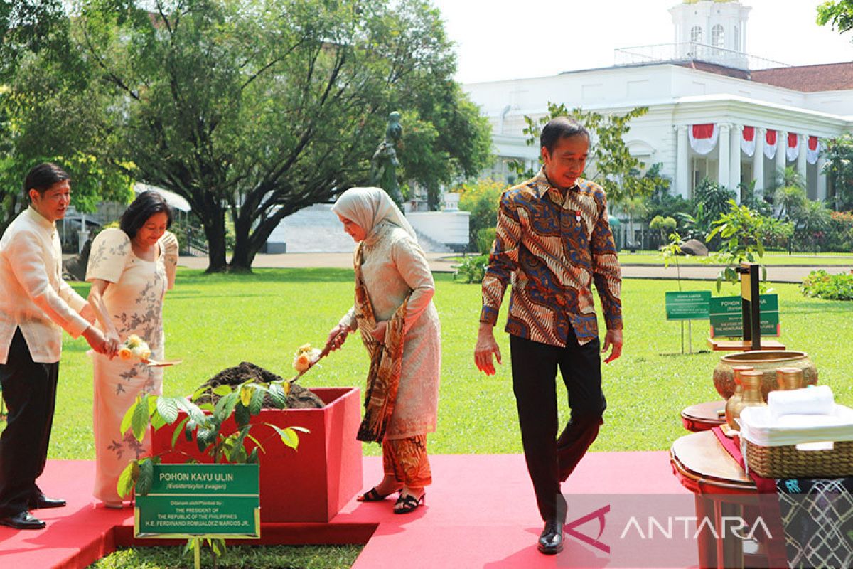 Jokowi dan Ferdinand Marcos Jr diskusikan isu bilateral