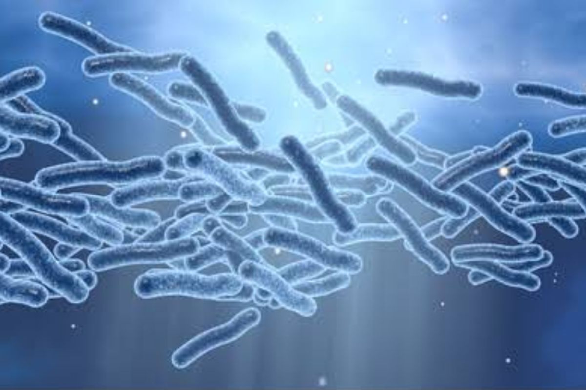 Ministry classifies Legionella as New-EIDs with outbreak potential