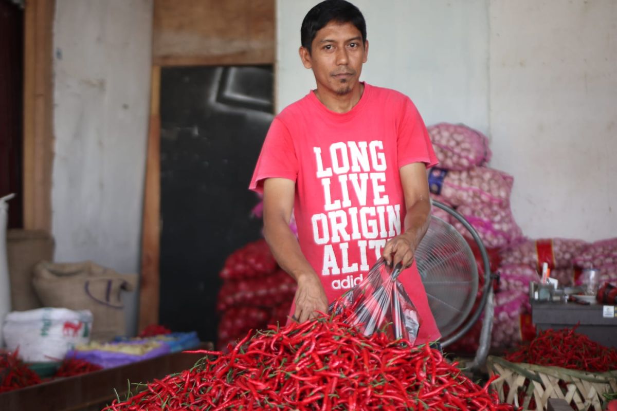 Sempat bertengger di Rp150 ribu per kilogram, harga cabai merah di Banda Aceh kembali turun