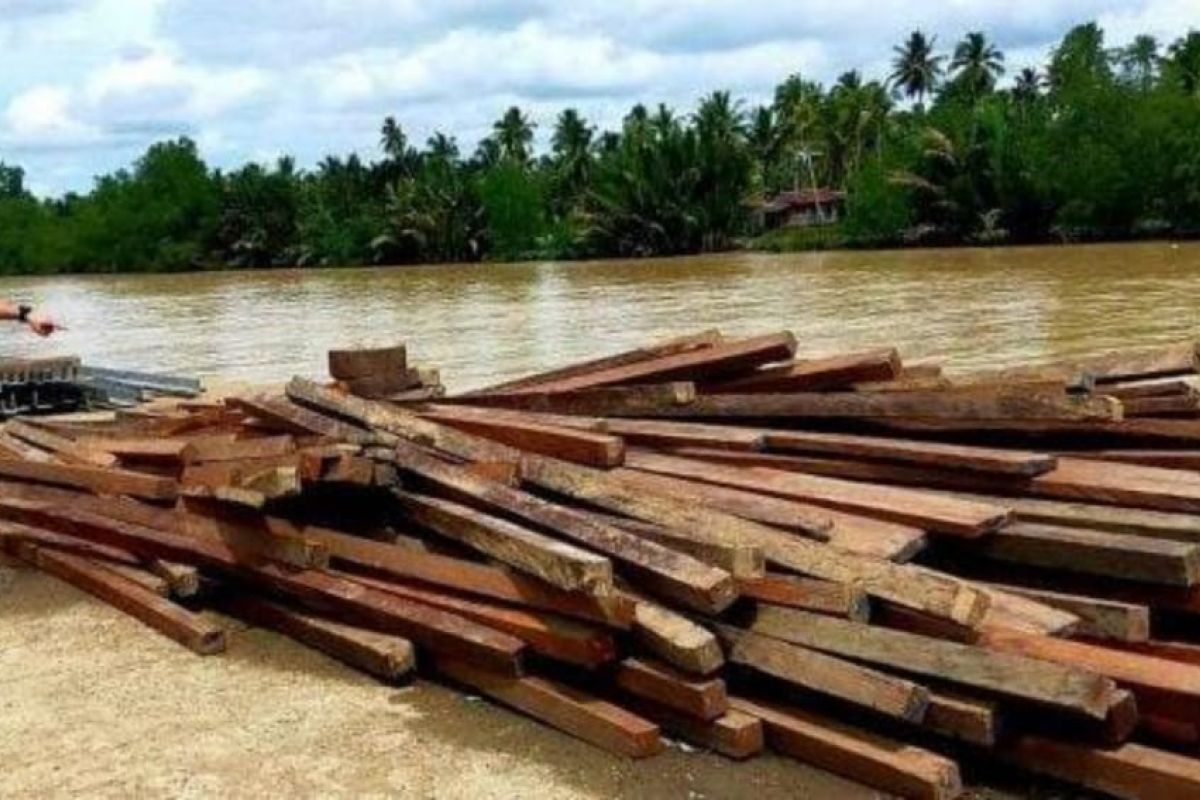 Polres Paser amankan ratusan kayu ulin tanpa dokumen