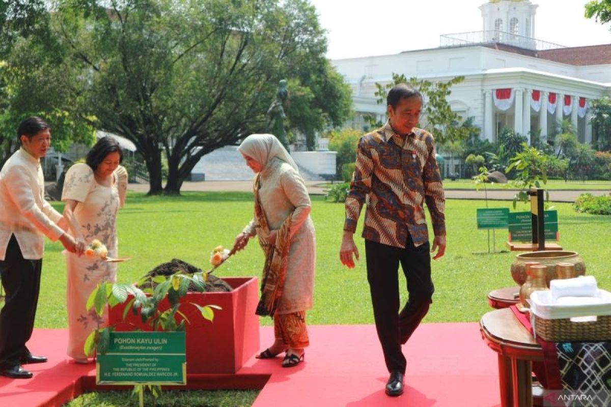 Presiden Jokowi dan Ferdinand Marcos Jr diskusikan isu bilateral