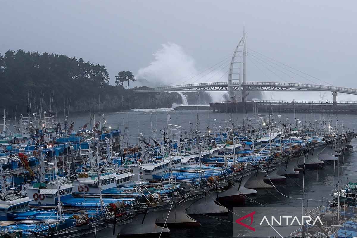 Lebih dari 60 penerbangan ke Pulau Jeju dibatalkan karena cuaca buruk
