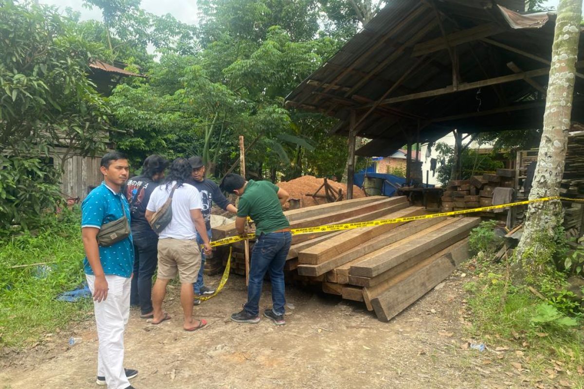 Polisi tangkap tangan pembalak hutan di Muarojambi, ratusan batang kayu diamankan