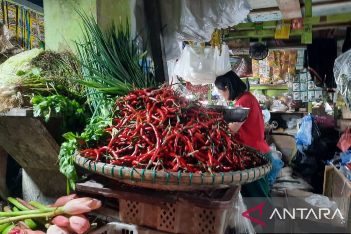 Harga cabe di Natuna naik 100 persen jadi Rp120 ribu per kg