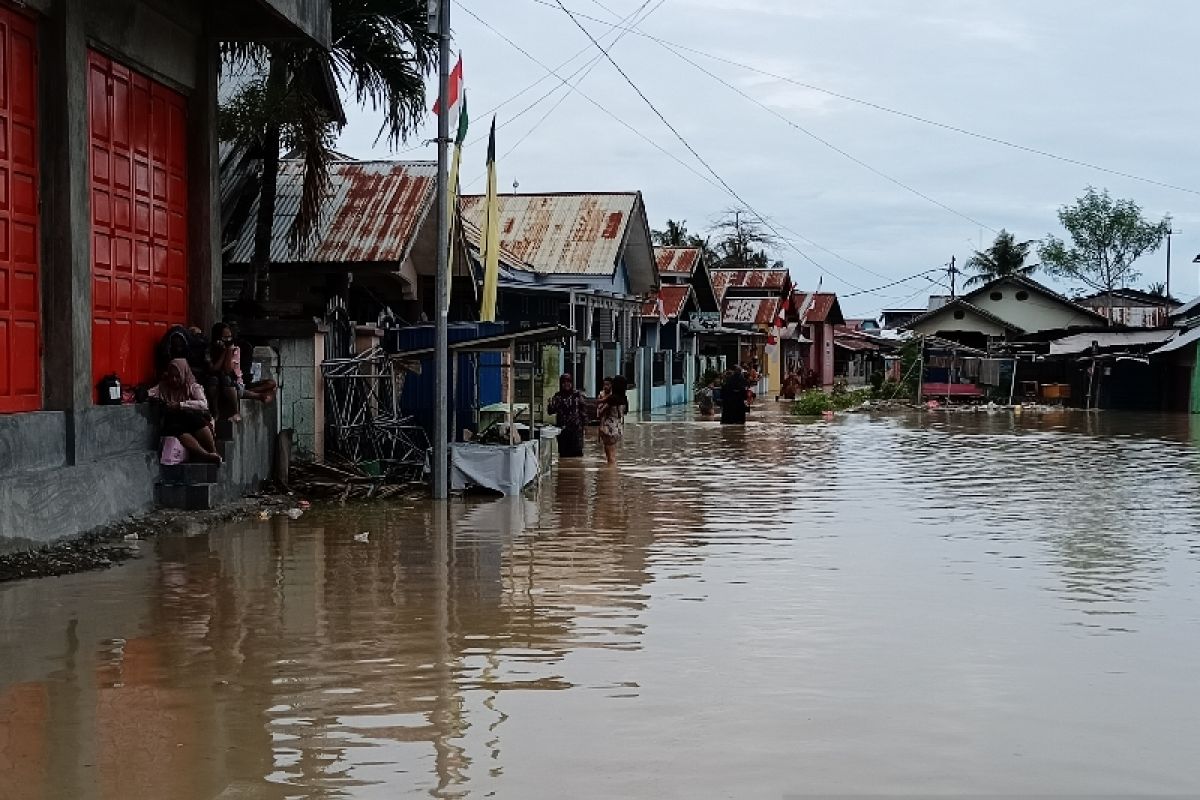 Lebih seribu rumah di bantaran Sungai Palu terendam banjir