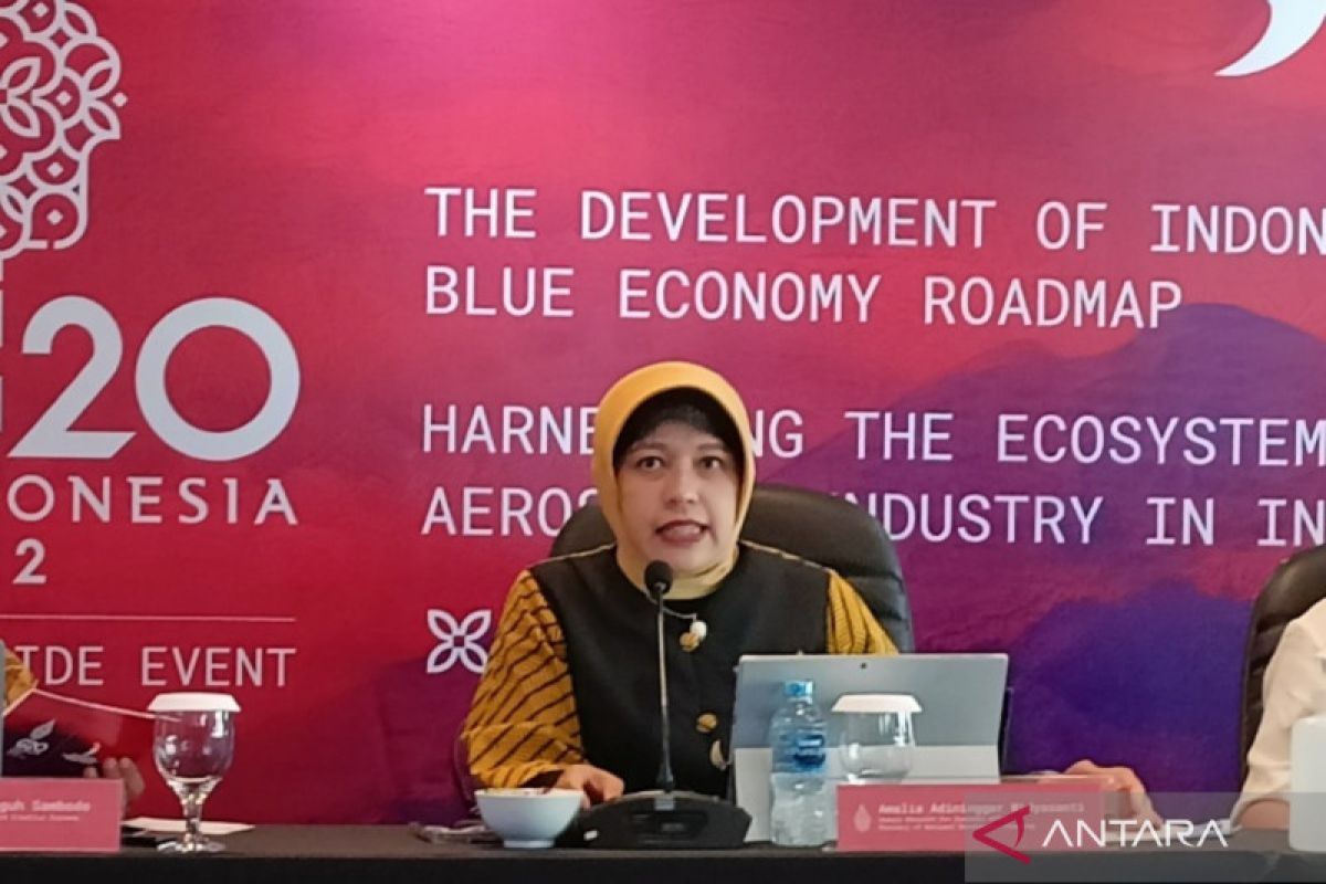 Implementasi ekonomi biru dan hijau jadi prioritas side event G20 DMM