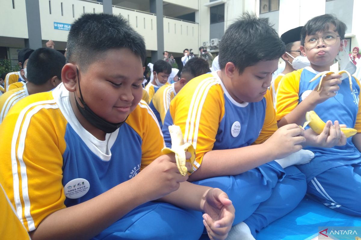 Wabup Karawang ajak remaja konsumsi buah dan sayur menuju Indonesia emas