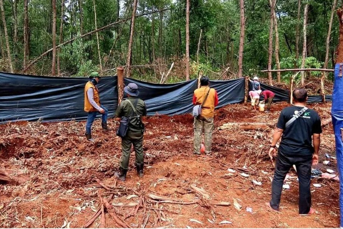 BBKSDA Riau antisipasi serangan harimau terhadap pekerja perkebunan