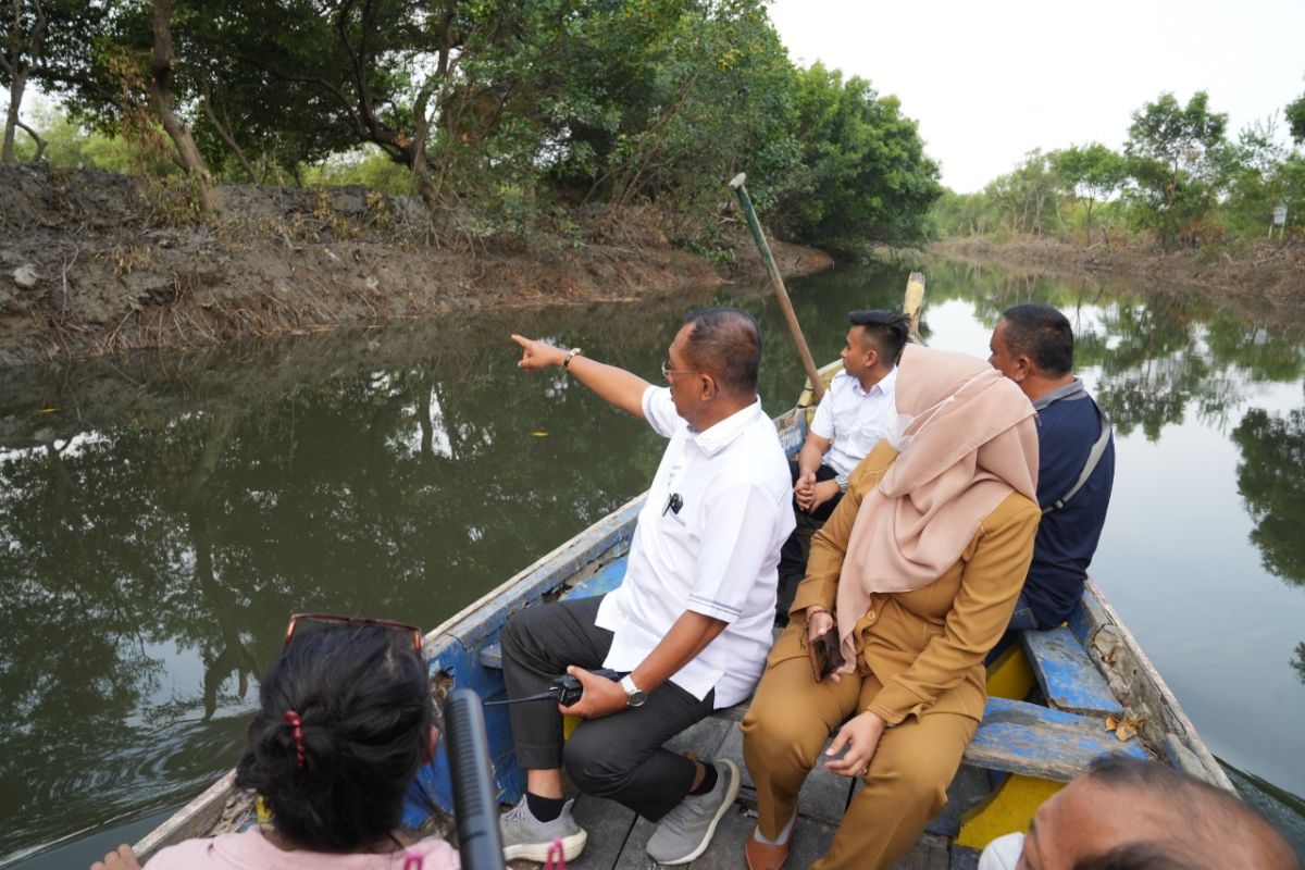 Cak Ji: Hentikan normalisasi sungai di kawasan Mangrove Wonorejo