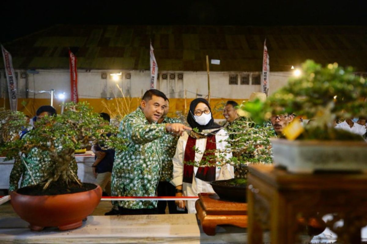Banyuwangi jadi tuan rumah kontes bonsai nasional
