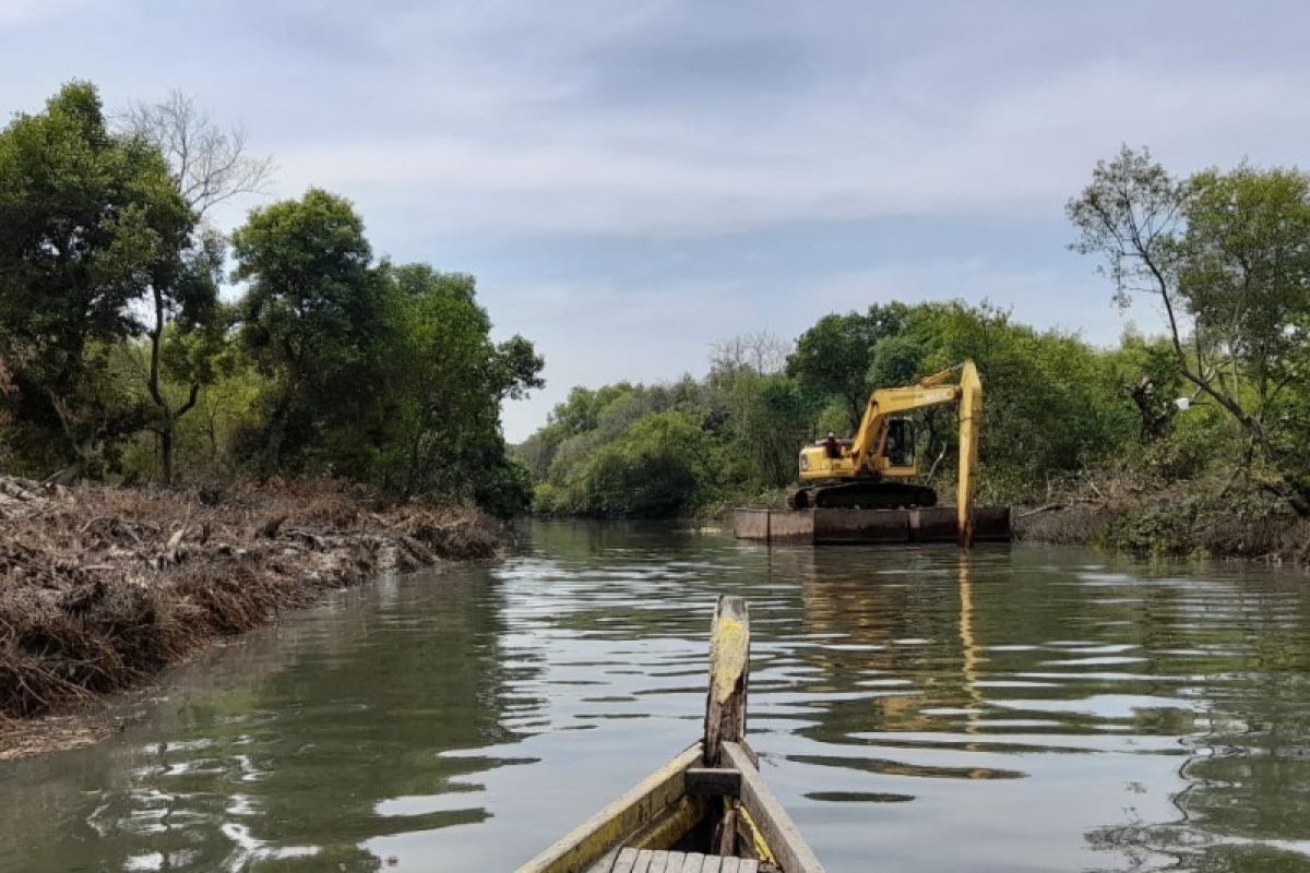 Normalisasi sungai di Wonorejo Surabaya rusak tanaman mangrove