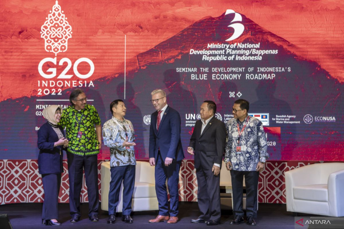 Denmark nilai Indonesia bisa jadi pemimpin energi hijau Asia Tenggara