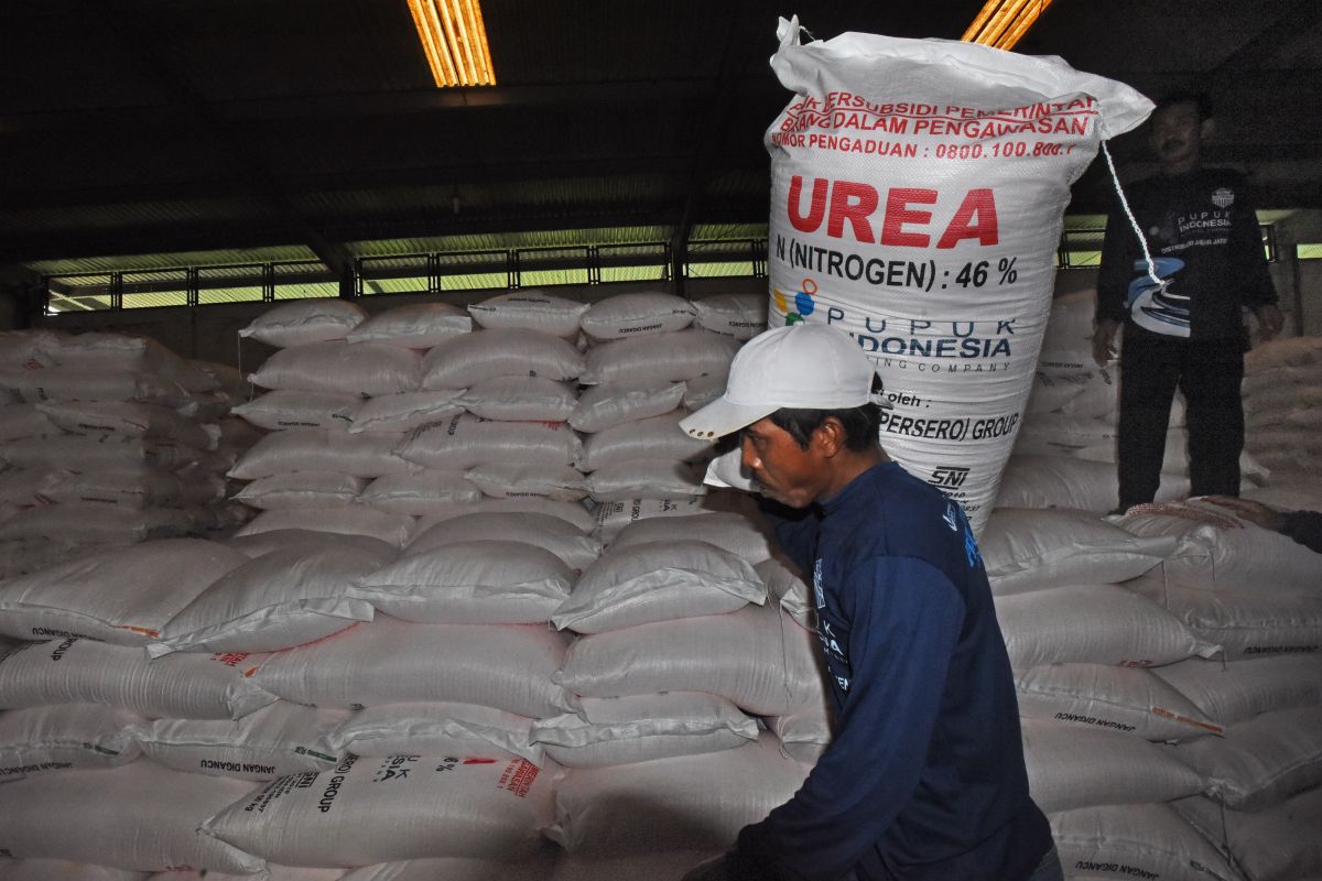 Abdya dapat tambahan 450 ton alokasi pupuk bersubsidi