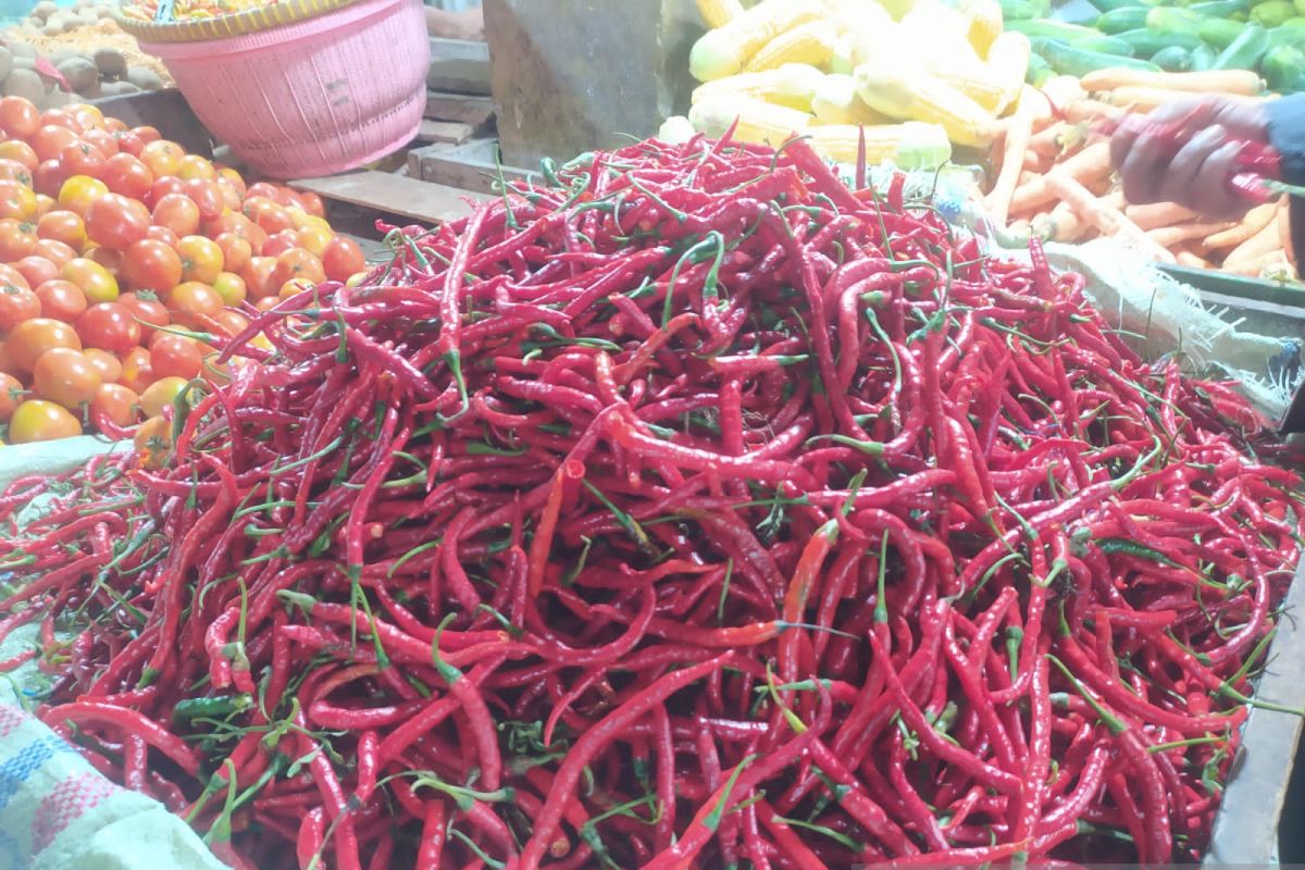 Harga cabai merah di Bengkulu alami kenaikan akibat cuaca buruk