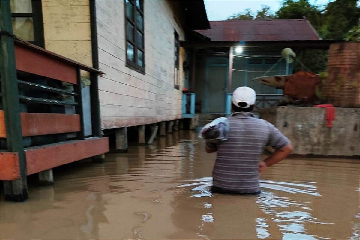 Banjir mulai merendam enam desa di Banama Tingang