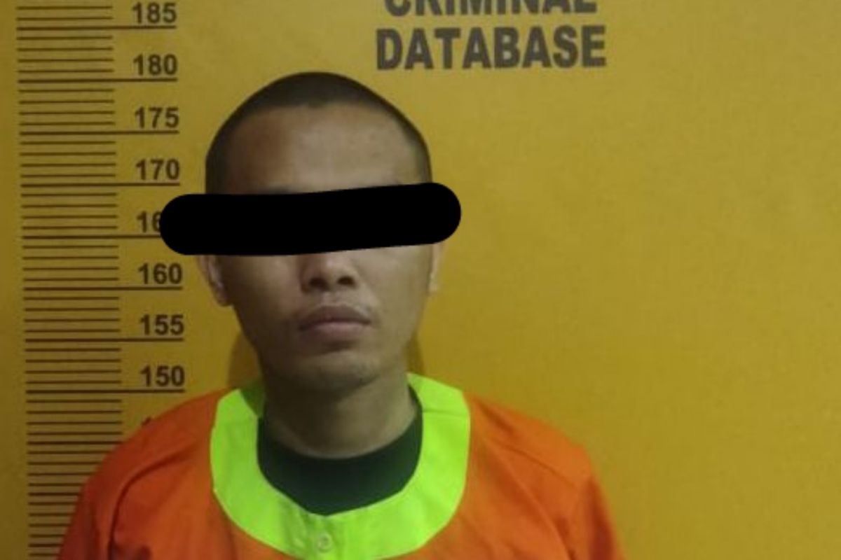 Berusaha perkosa wanita, pria di Pekanbaru diringkus polisi
