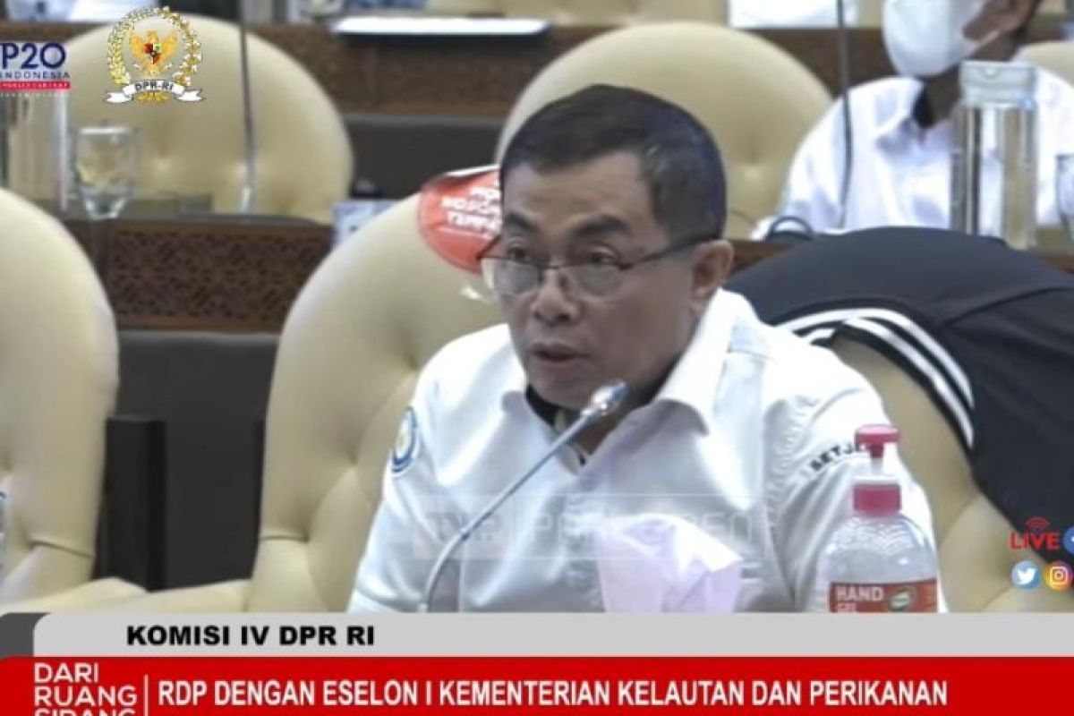 KKP jelaskan alokasi tambahan anggaran 2023 ke DPR