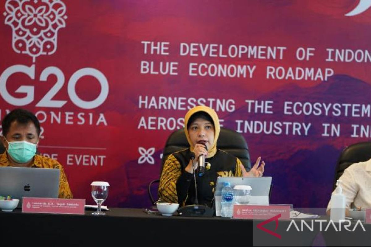 G20 DMM to discuss blue economy. future of Indonesia's aerospace