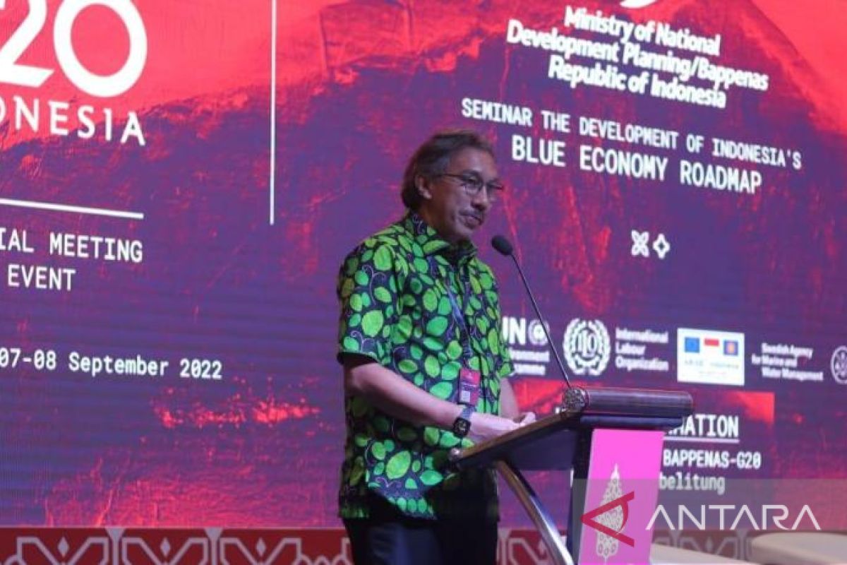 Pemprov Babel dorong pembangunan maritim melalui ekonomi biru