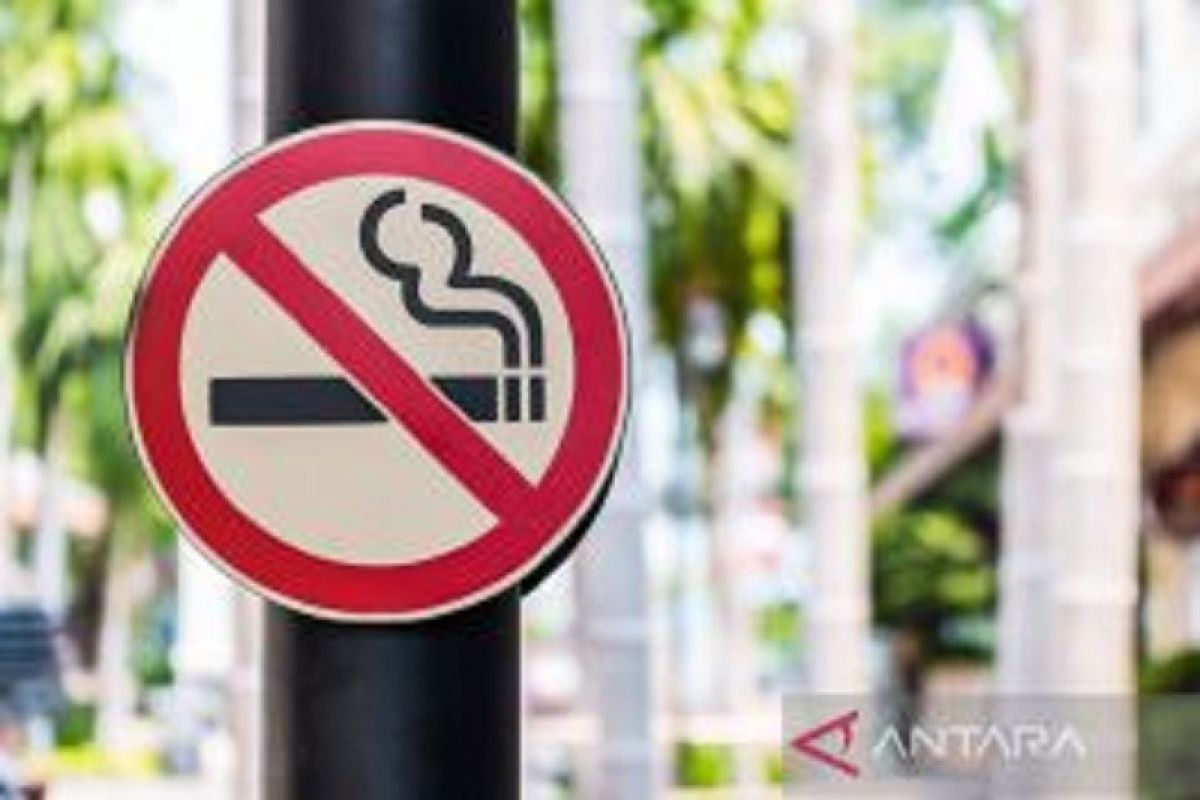Kurangi pravalensi merokok, asosiasi harap Indonesia bisa adopsi VNNP
