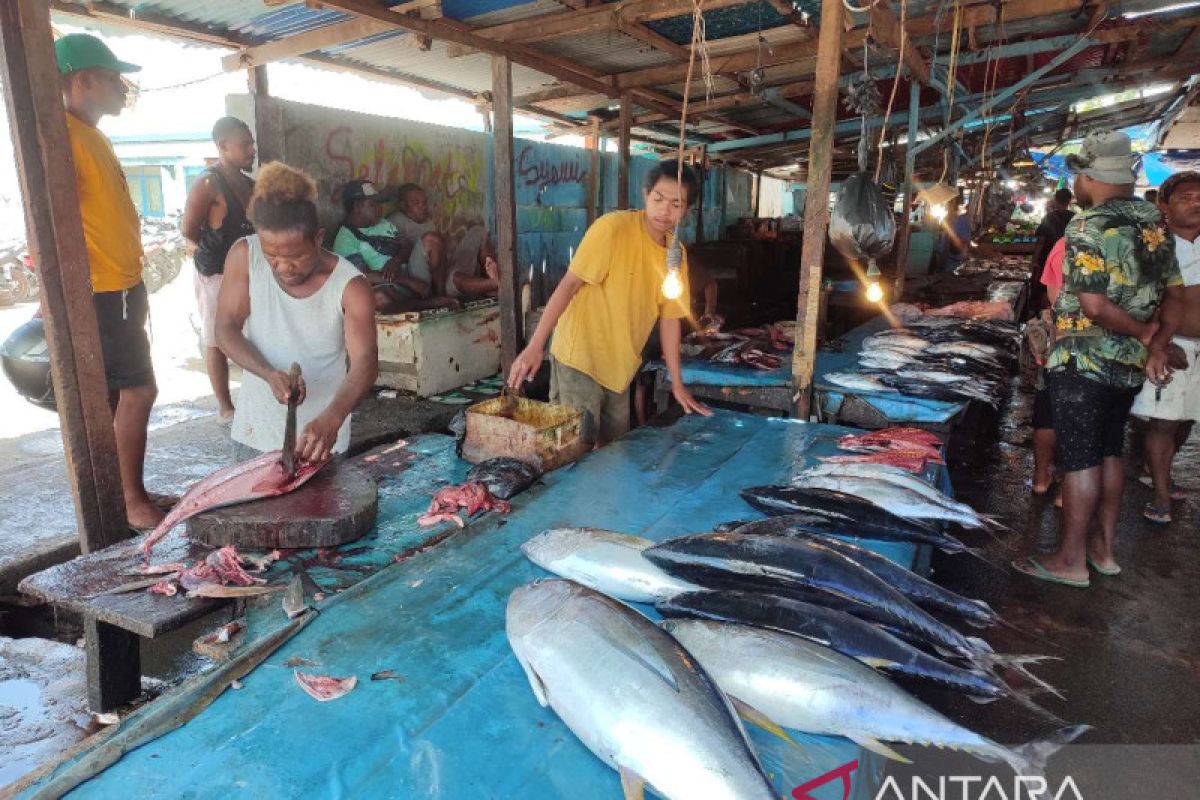 Nelayan Manokwari harap bisa ekspor langsung ikan tuna