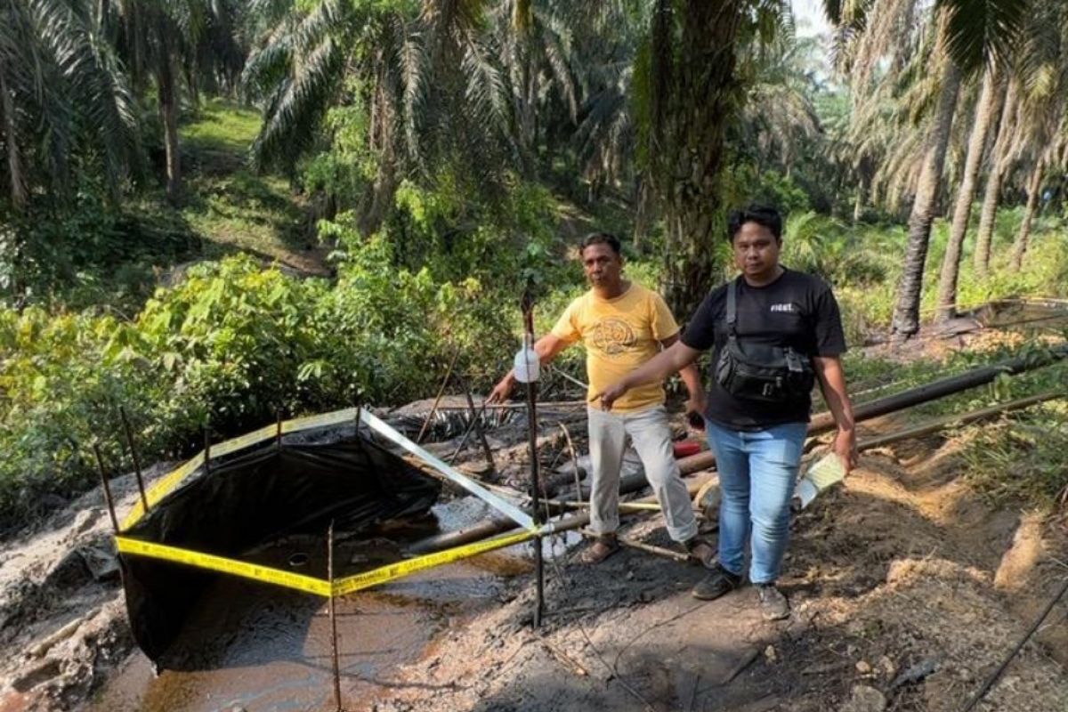 Polda Jambi menggerebek tambang minyak ilegal dan amankan 11 pekerja